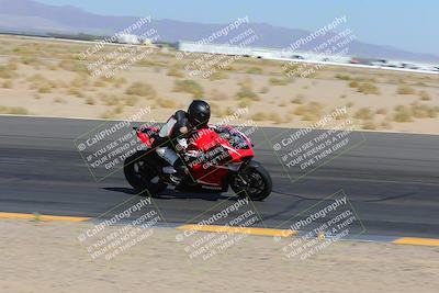 media/Apr-09-2023-SoCal Trackdays (Sun) [[333f347954]]/Turn 12 Inside (930am)/